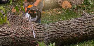 Lawn Drainage Solutions in Cairo, GA