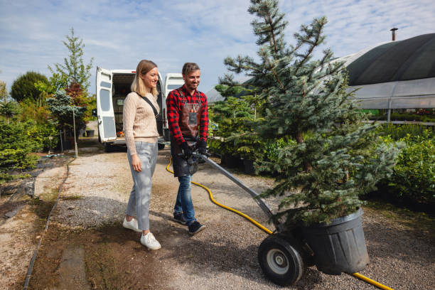 Best Tree Maintenance Programs  in Cairo, GA
